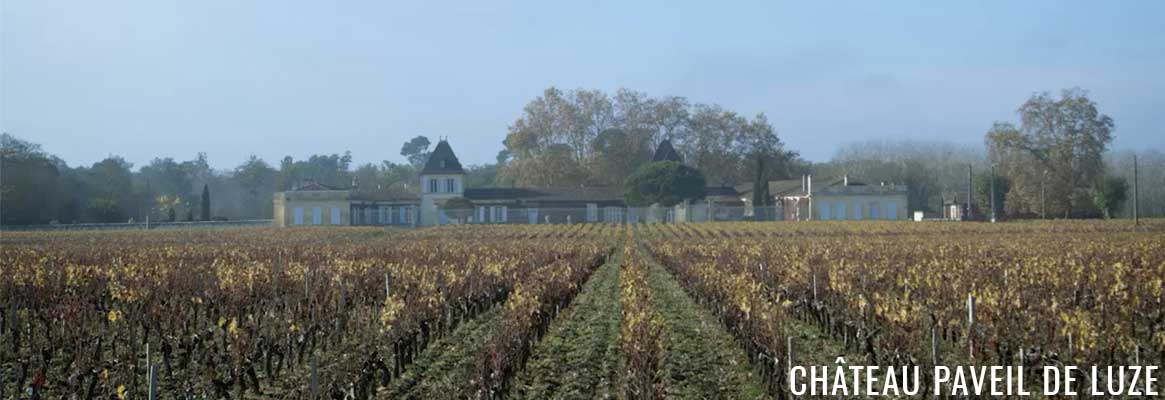 Château Paveil de Luze, grands vins de Margaux
