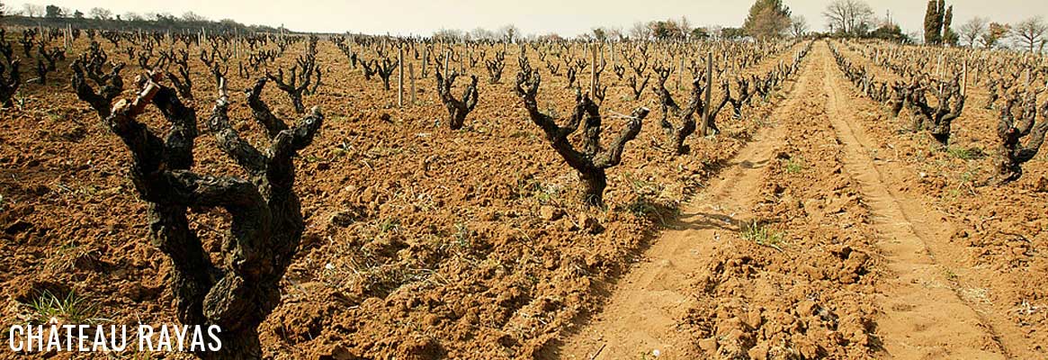 Château Rayas, grands vins de Châteauneuf-du-Pape