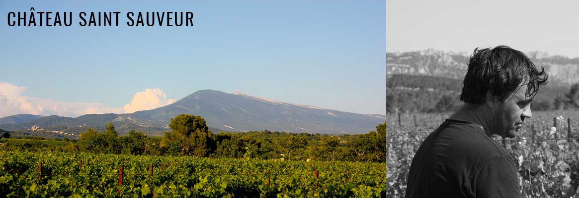 Vins BIO du Ventoux du Château Saint Sauveur