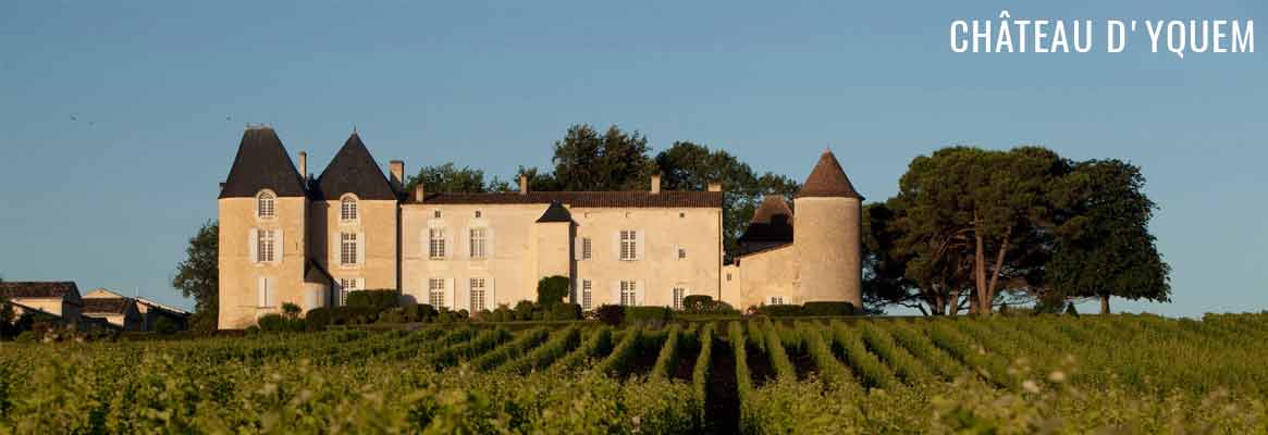 Château d'Yquem, grand vin de Sauternes premier cru classé supérieur