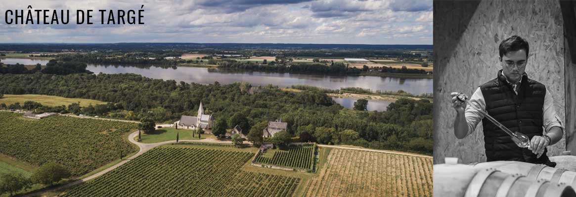 Château de Targé, grands vins biologiques de Saumur et Saumur-Champigny