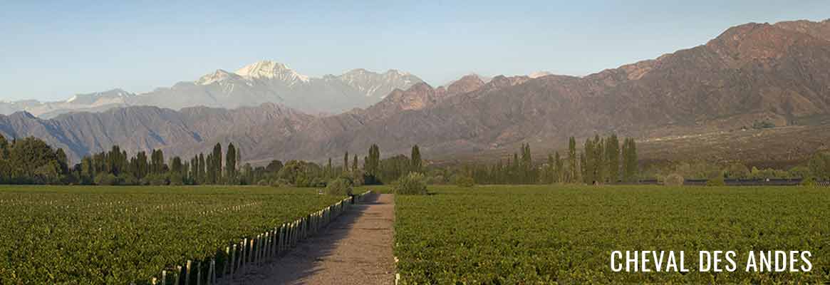 Cheval des Andes, grands vins rouges argentins