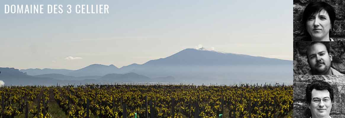 Grands vins de Châteauneuf-du-Pape, Domaine des 3 Cellier