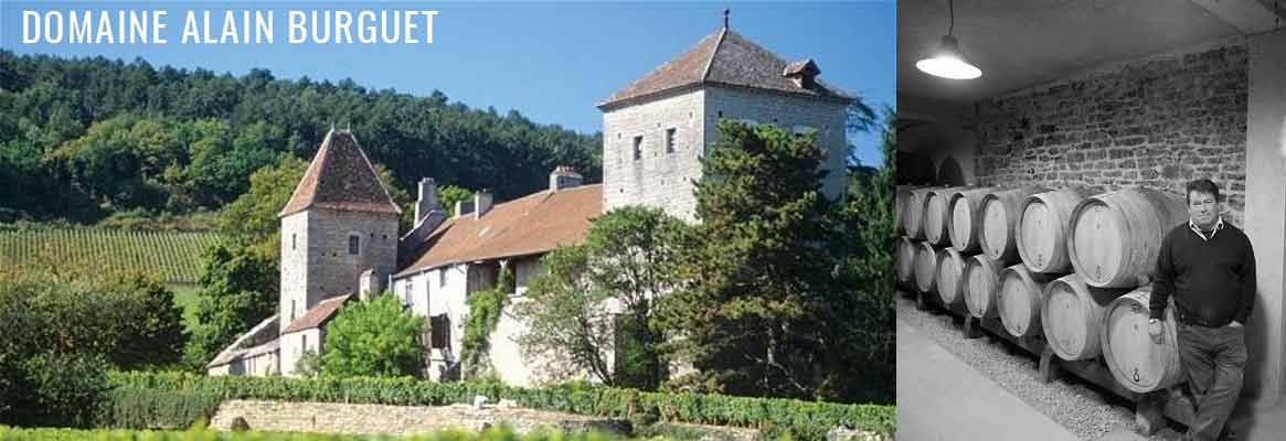 Domaine Alain Burguet, grands vins de Gevrey-Chambertin