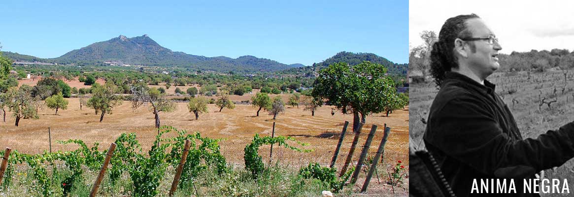 Anima Negra, vins espagnols des Baléares sur l'ile de Majorque