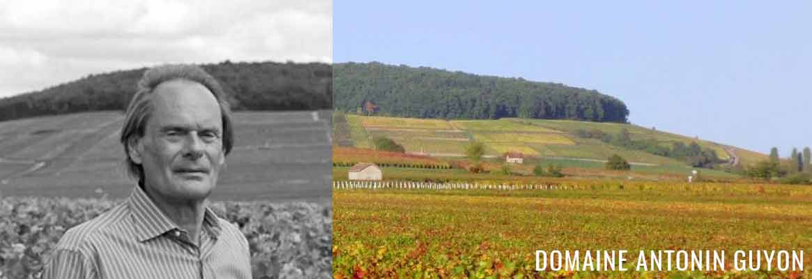 Domaine Antonin Guyon, grands vins de Puligny-Montrachet, Meursault et Corton Charlemagne