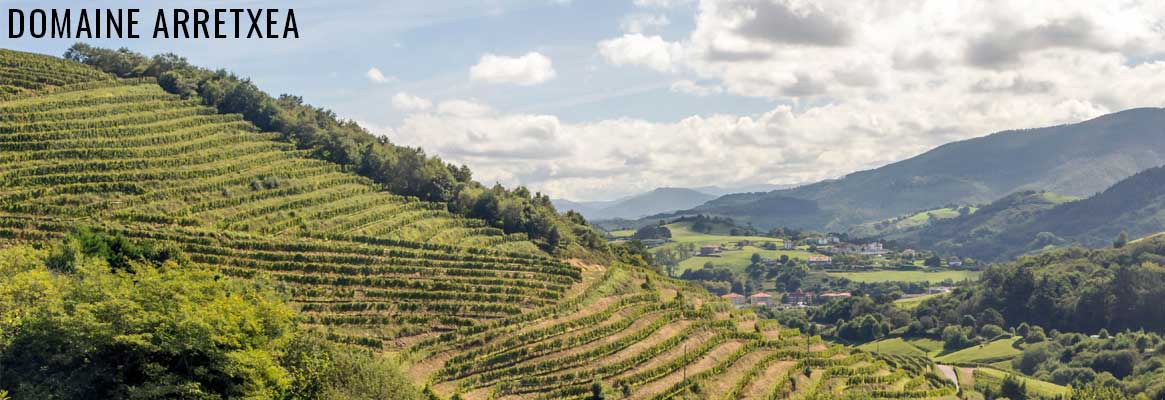 Domaien Arretxea, grands vins du Pays Basque, Irouléguy
