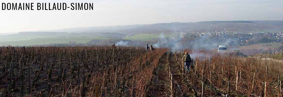 Domaine Billaud-Simon Grands vins de Chablis