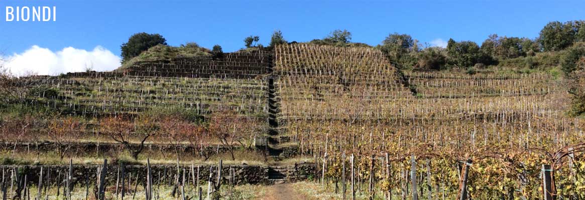 Biondi, grands vins italiens de l'Etna