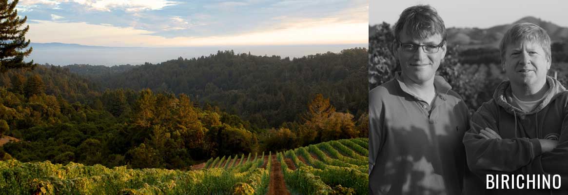 Birichino, grands vins de la Central Coast en Californie, Santa Cruz Montains