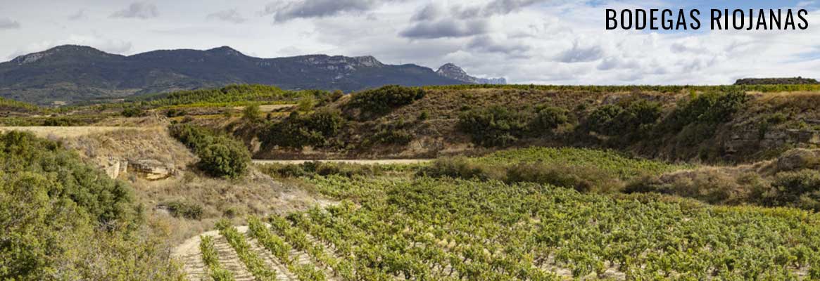 Bodegas Riojanas, grands vins espagnols de la Rioja