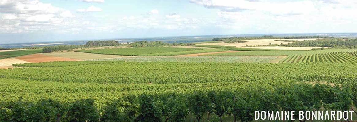 Domaine Bonnardot, vins de Bourgogne en Hautes Côtes de Nuits et Ladoix