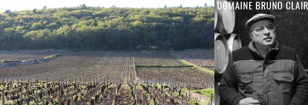 Domaine Bruno Clair, grands vins de Bourgogne