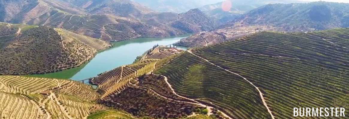 Burmester, grands vins de Porto et du Douro