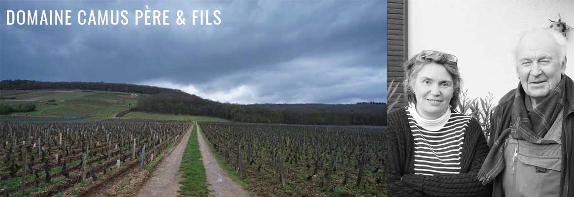 Domaine Camus Père & Fils, grands vins de Bourgogne à Gevrez-Chambertin