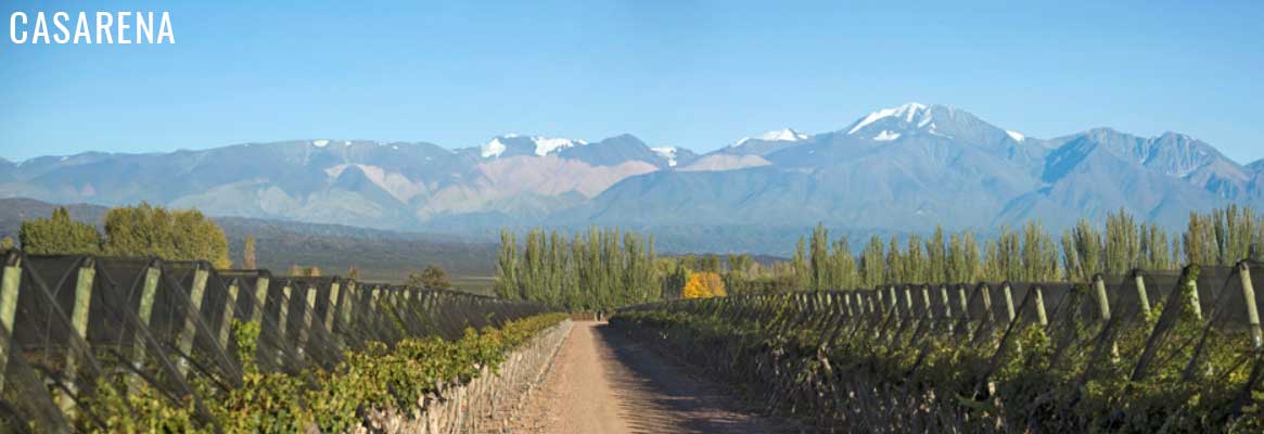 Casarena, vins argentins de Mendoza