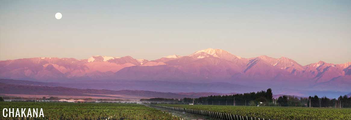 Chakana Nuna Estate, vins argentins en biodynamie de Mendoza