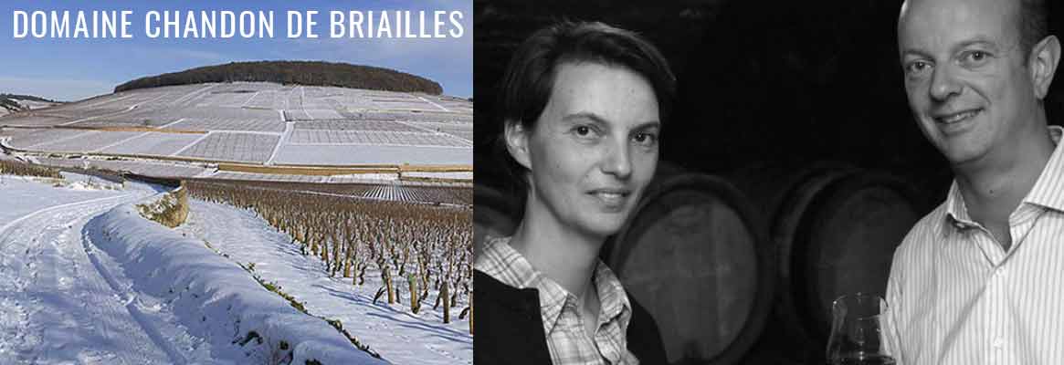 Domaine Chandon de Briailles, grands vins de Corton, Pernand-Vergelesses et Savigny-les-Beaune