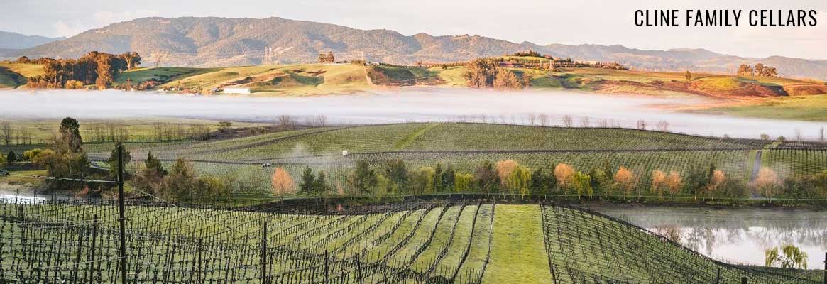 Cline Family Cellars, grands vins américains de la Sonoma Valley