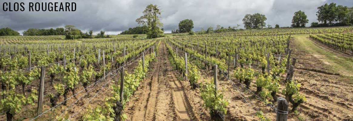 Clos Rougeard, vins d'exception de Saumur et Saumur-Champigny