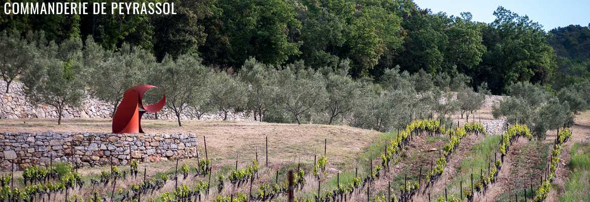 Comamnderie de Peyrassol, grands vins rosés, blancs et rouges en Côtes-de-Provence