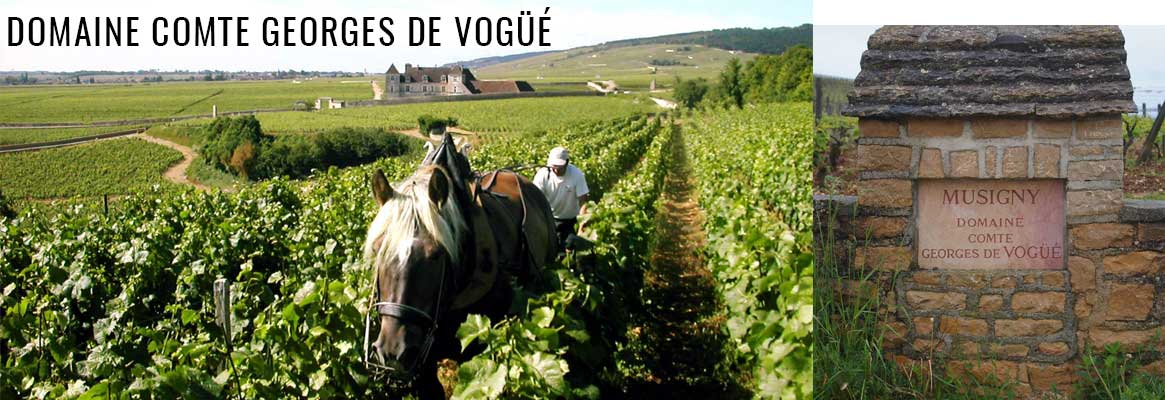 Domaine Comte Georges de Vogüé, grands vins de Chambolle-Musigny