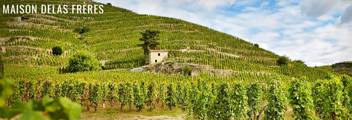 Maison Delas Frères, grands vins du Rhône, Hermitage, Crozes-Hermitage et Saint-Joseph