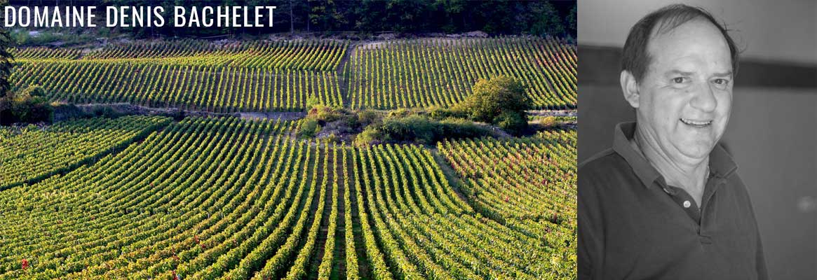 Domaine Denis Bachelet, grands vins de Gevrey-Chambertin