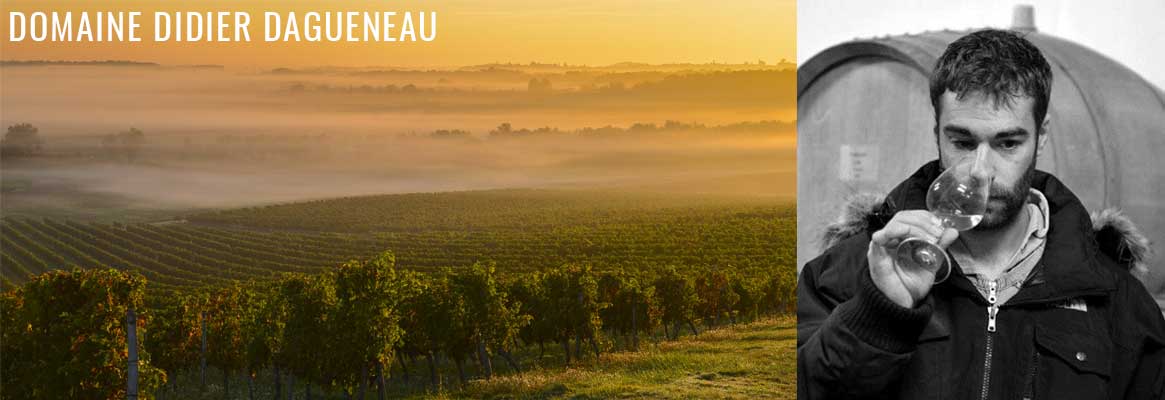 Domaine Didier Dagueneau, sauvignons de Loire d'exception à Pouilly