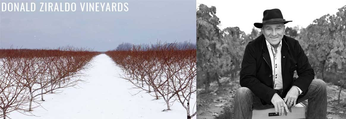 Donald Ziraldo - grands vins du Canada et vins de glace