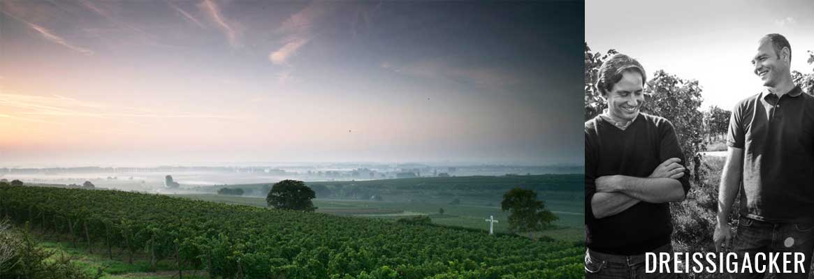 Vins allemands de Rheinhessen de Dreissigacker