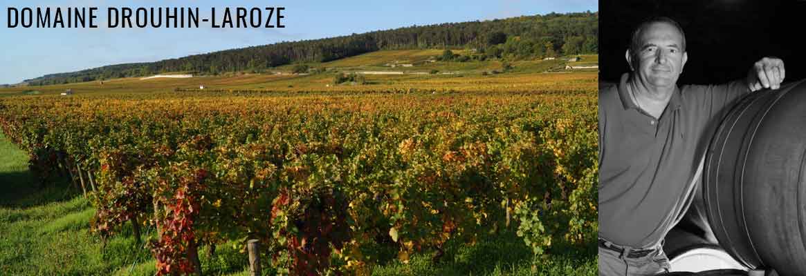 Domaine Drouhin-Laroze, grands vins de Bourgogne