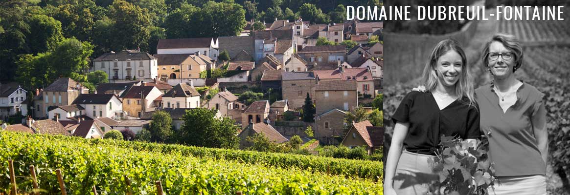 Domaine Dubreuil-Fontaine, grands vins de Corton, Pernand-Vergelesses et Savigny-les-Beaune