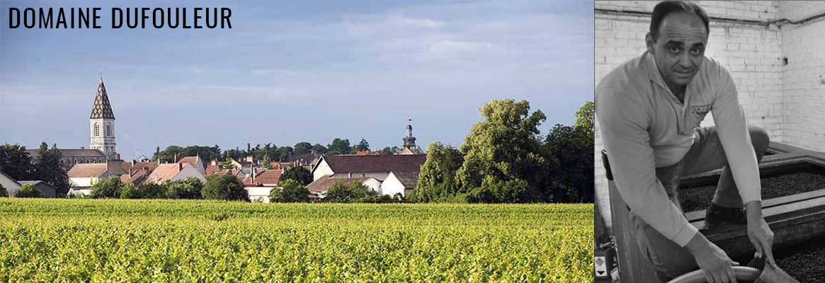 Domaine Dufouleur, grands vins de Nuits-Saint-Georges