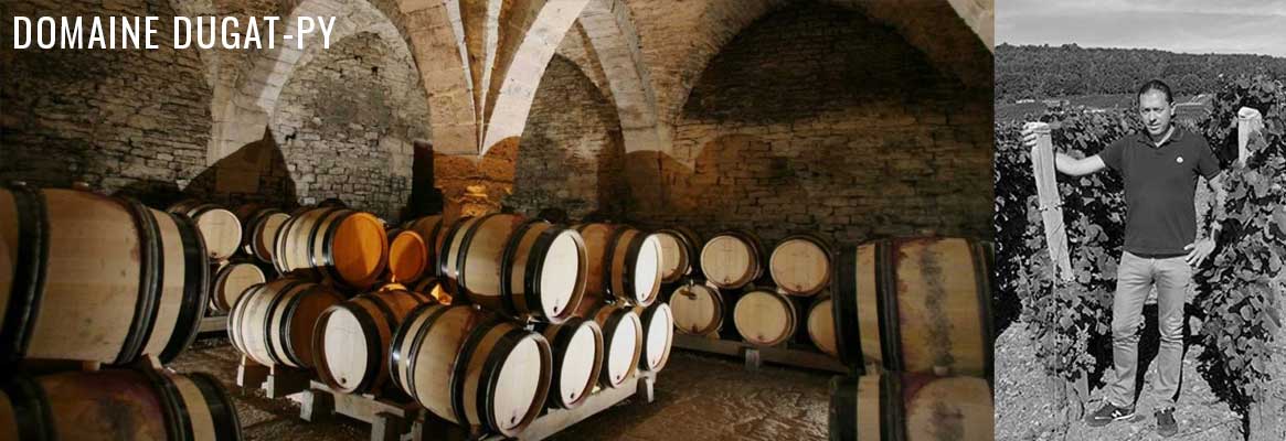 Domaine Dugat-Py, grands vins de Bourgogne, Chambertin, Gevrey-Chambertin,  Pommard, Meursault