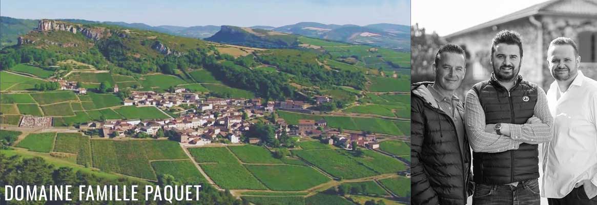 Domaine Famille Paquet, vins de Bourgogne du Mâconnais