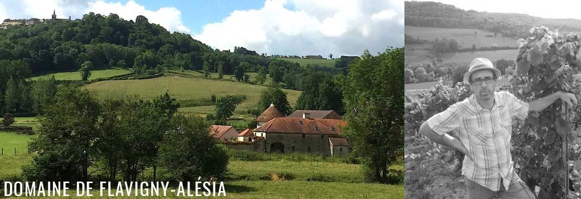 Domaine Flavigny-Alésia, vins de Bourgogne du Pays d'Auxois