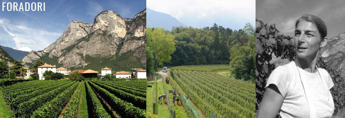 Foradori, grands vins italiens des Dolomites