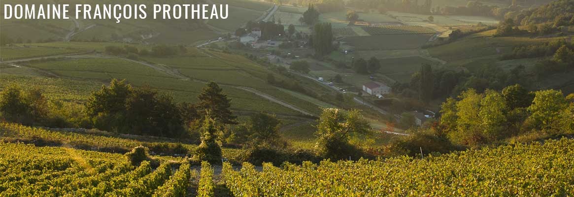 Domaine François Protheau, grands vins de Bourgogne