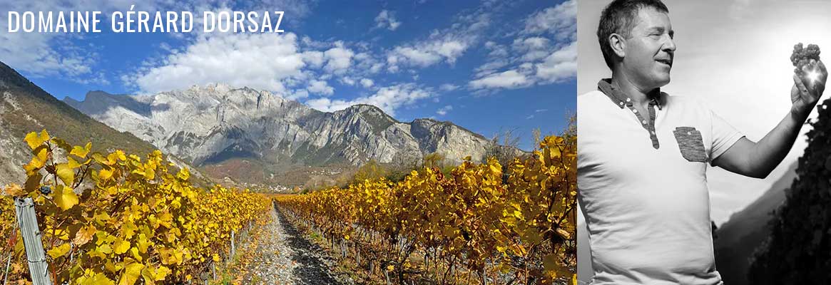 Gérard Dorsaz, vigneron du Valais en Suisse, Cornalin et Petite Arvine