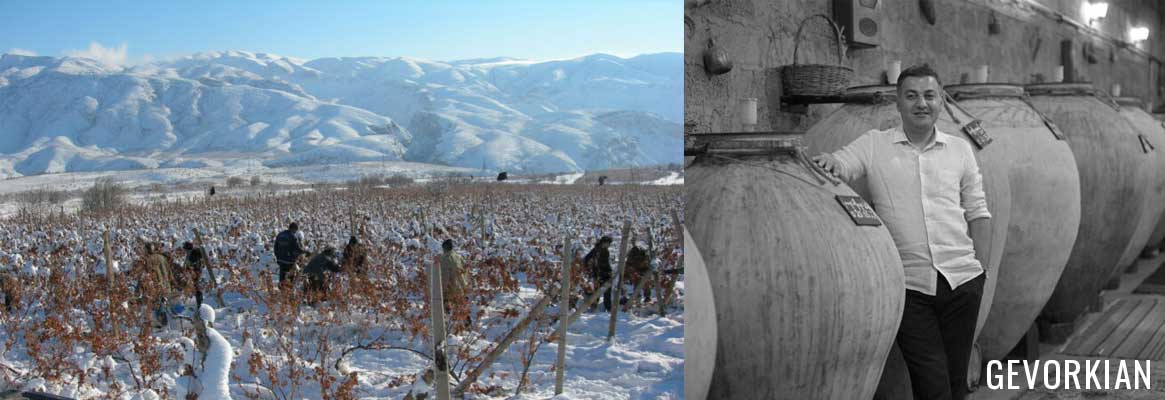Gevorkian, grands vins d'Arménie, Areni et Voskehat, et vins de karasi