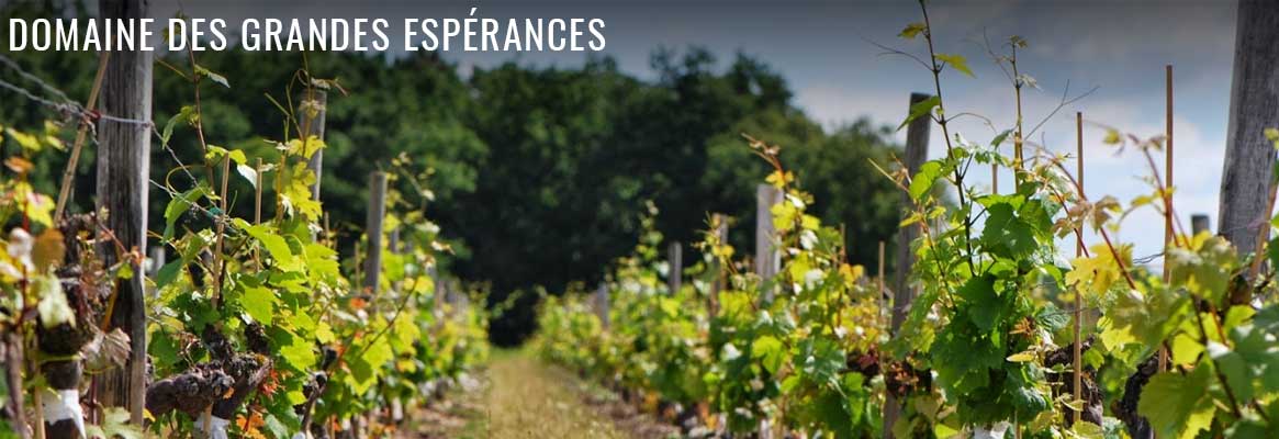 Domaine des Grandes Espérances, vins blancs et rouges de Loire