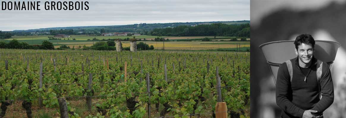 Domaine Grosbois, grands vins de Loire et de Chinon BIO