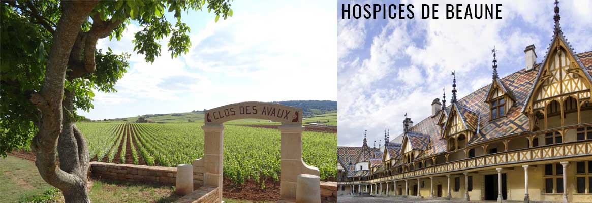 Hospices de Baune, grands vins de la Côte de Beaune