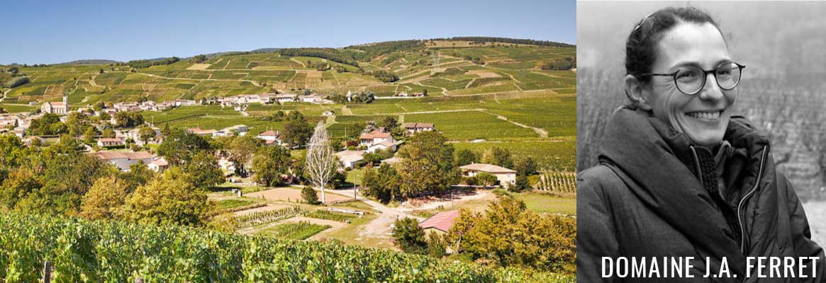 Domaine J.A. Ferret, grands vins blancs de Bourgogne de Pouilly-Fuissé