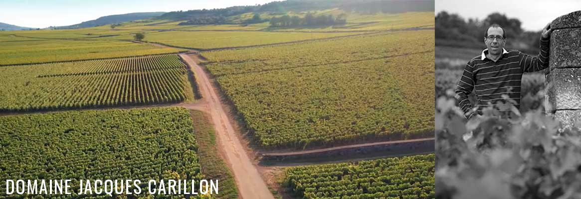 Domaine Jacques Carillon, grands vins blancs de Bourgogne de Puligny-Montrachet