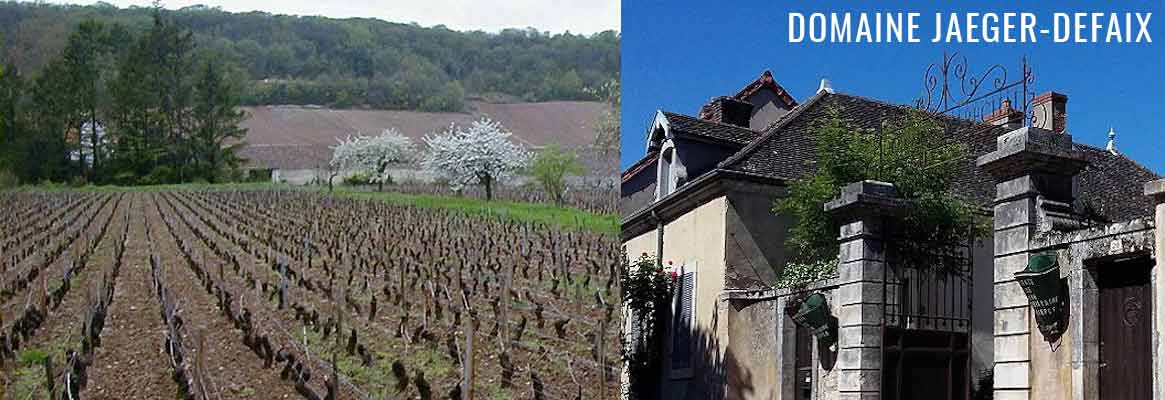 Domaine Jaeger-Defaix, vins blancs et rouges de Bourgogne en apppellation Rully et Rully 1er Cru