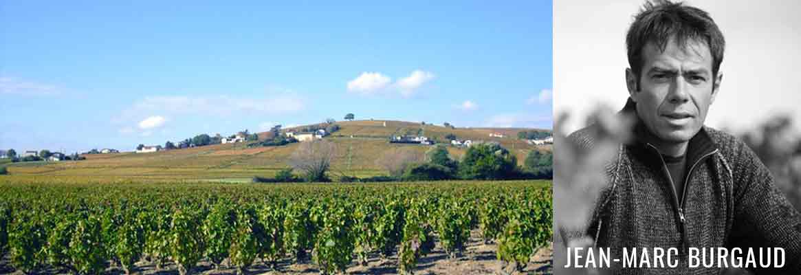 Jean-Marc Burgaud, grands vins de Morgon et du Beaujolais