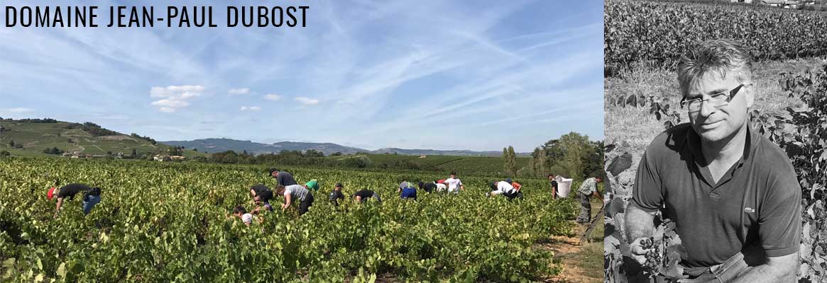 Domaine du Tracot Jean-Paul Dubost - Grands vins du Beaujolais