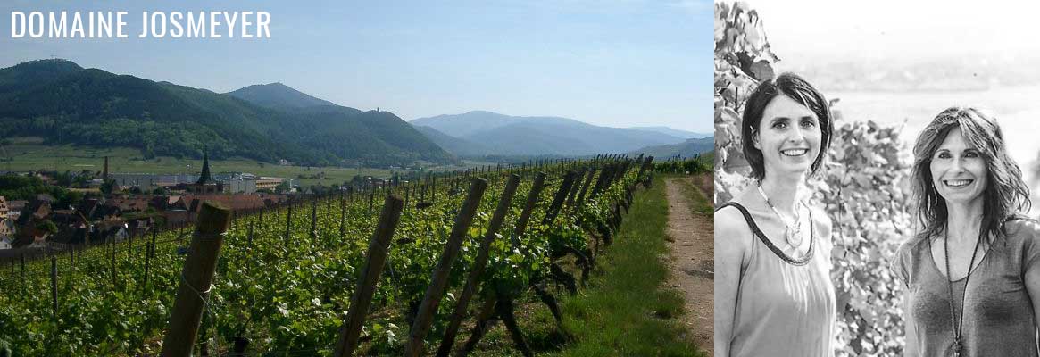 Domaine Josmeyer, grands vins d'Alsace, grands crus d'Alsace